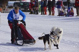 Lenk 2013